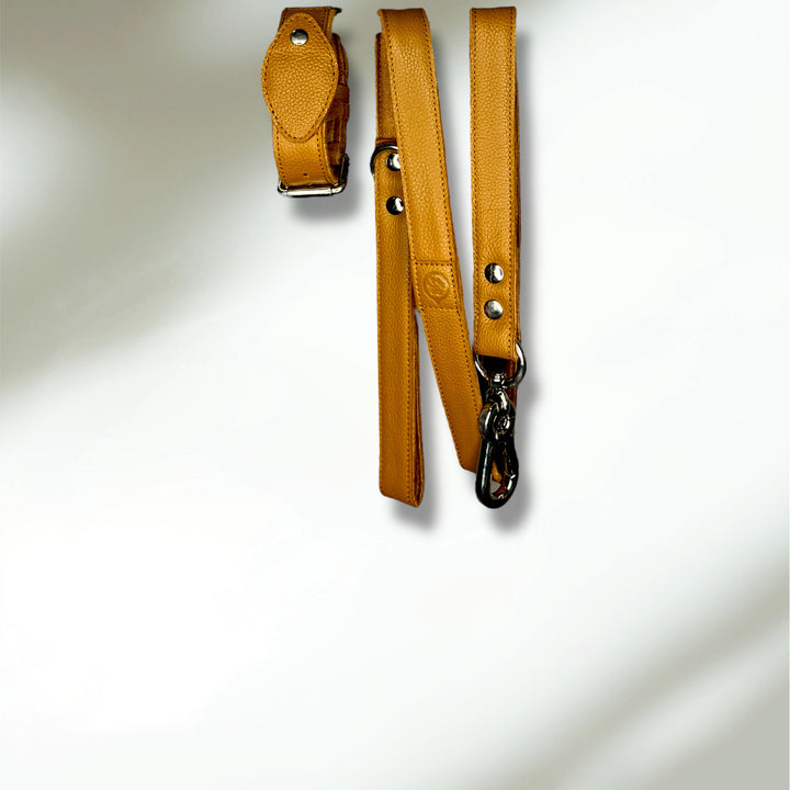 Collier en cuir WAFFY compatible AirTag 