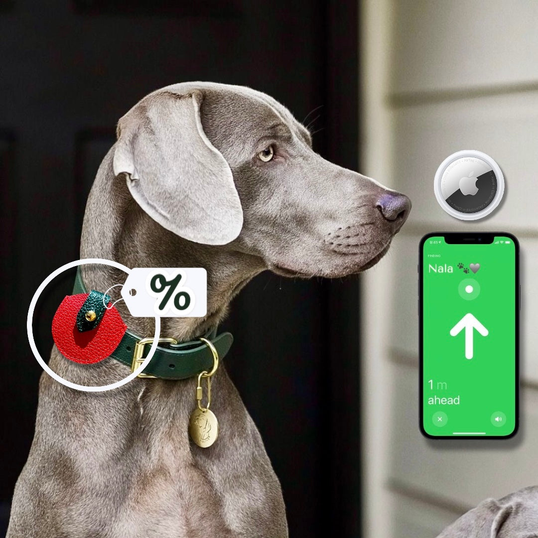 Pack Essentiel : Étui en cuir WAFFY + AirTag 