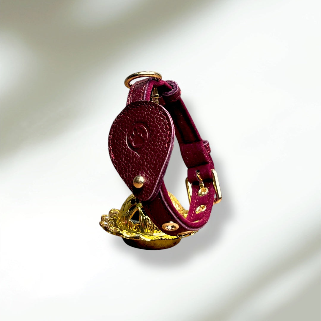 Pack Standard : Collier en cuir WAFFY + AirTag 