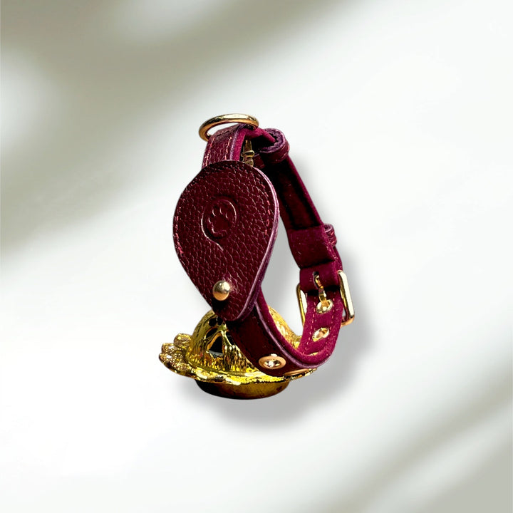 Pack Standard : Collier en cuir WAFFY + AirTag 