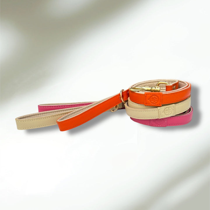 Laisse en cuir WAFFY