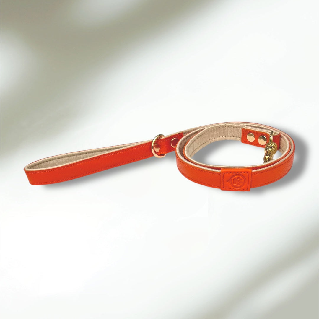 Laisse en cuir WAFFY