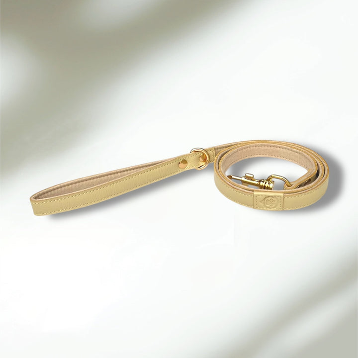 Laisse en cuir WAFFY