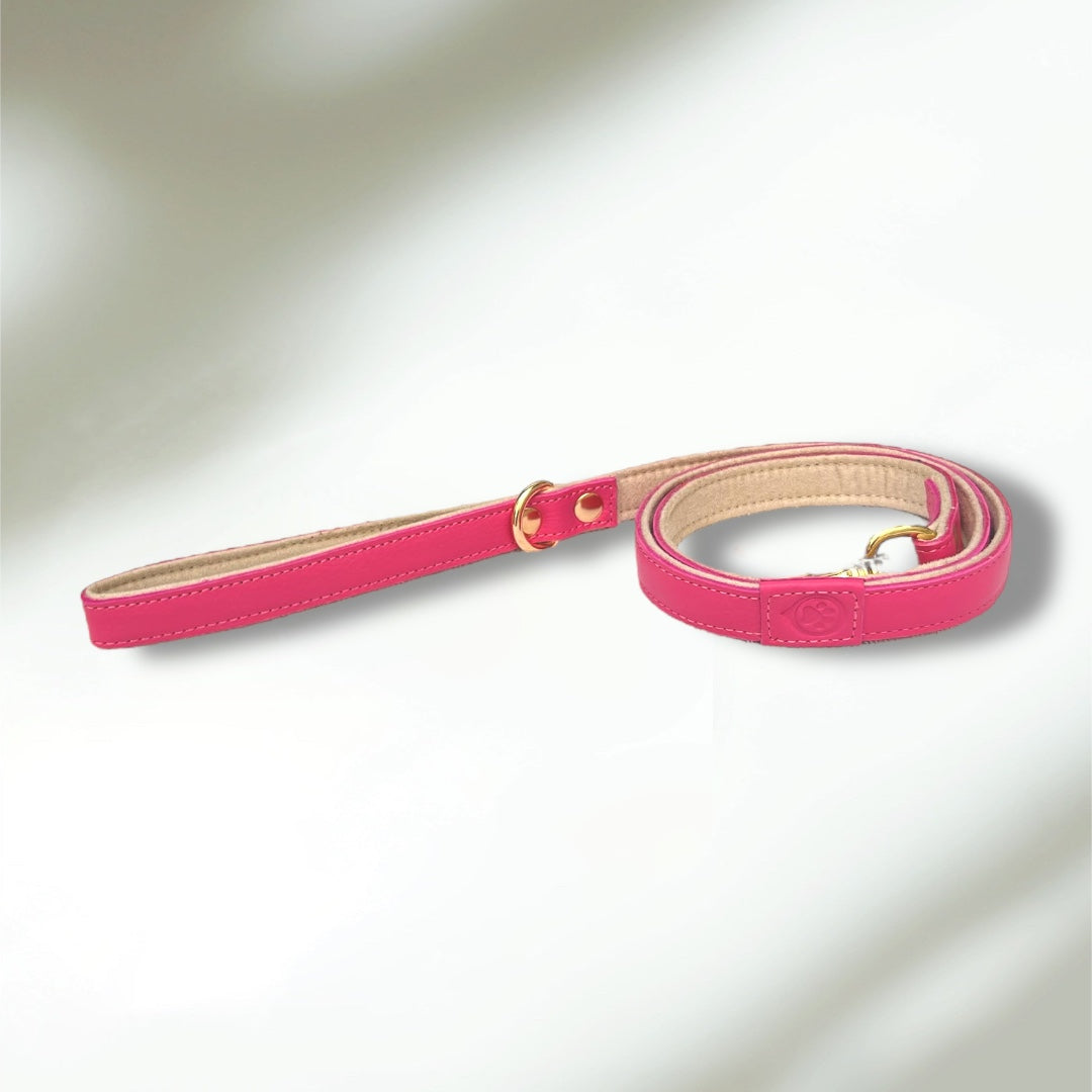 Laisse en cuir WAFFY