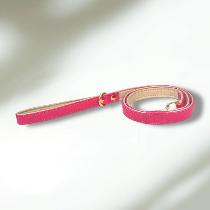 Laisse en cuir WAFFY