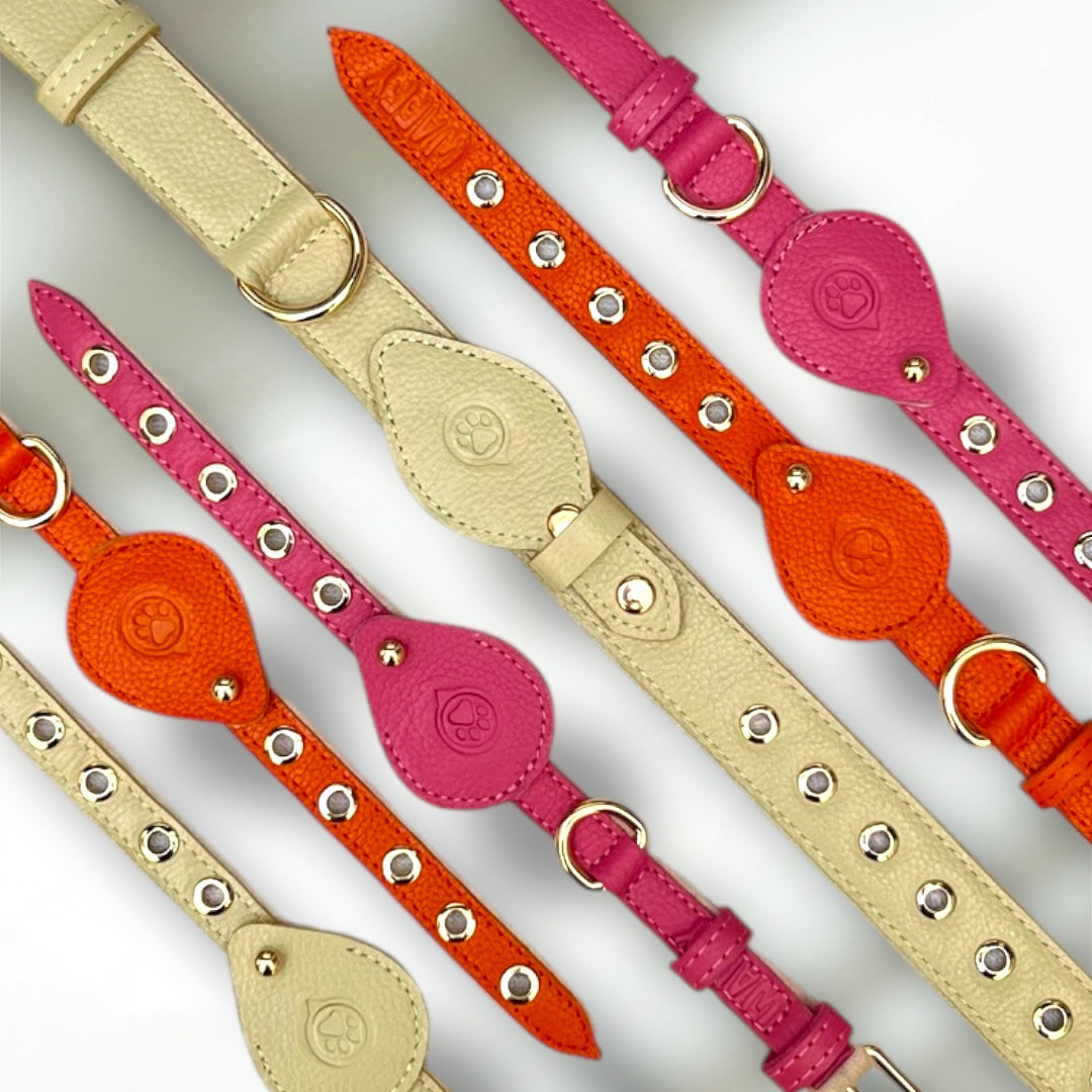Pack Standard : Collier en cuir WAFFY + AirTag 