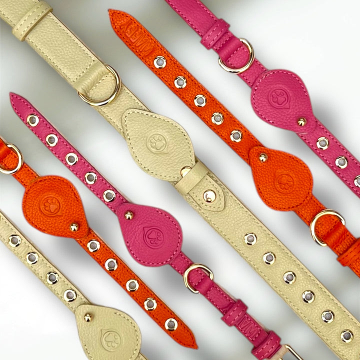 Pack Standard : Collier en cuir WAFFY + AirTag 