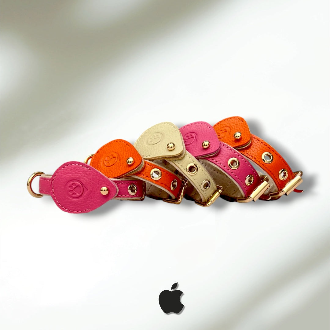 Pack Standard : Collier en cuir WAFFY + AirTag 