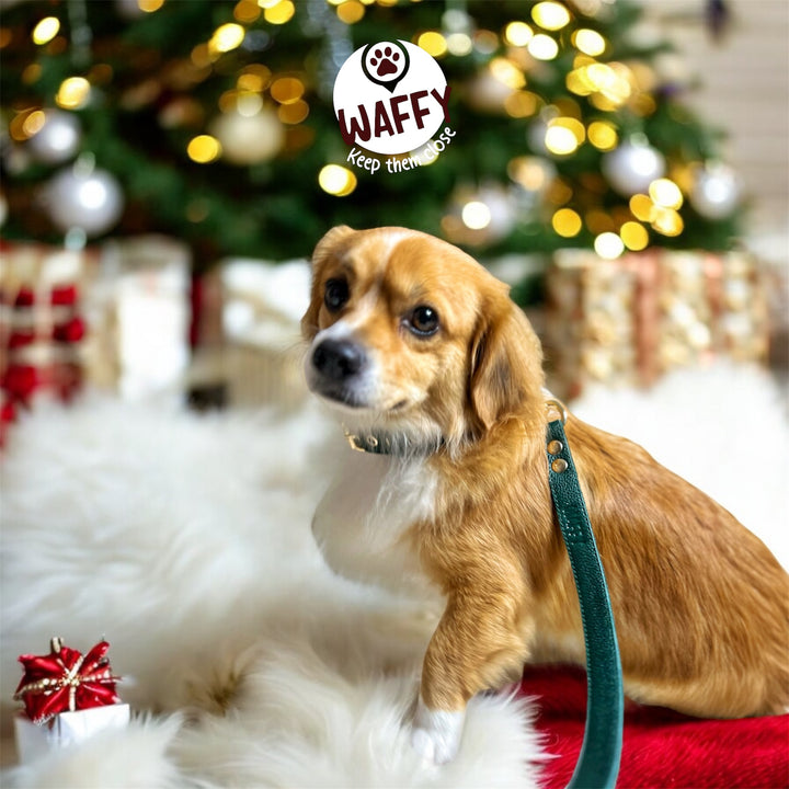 Collier en cuir WAFFY compatible AirTag 