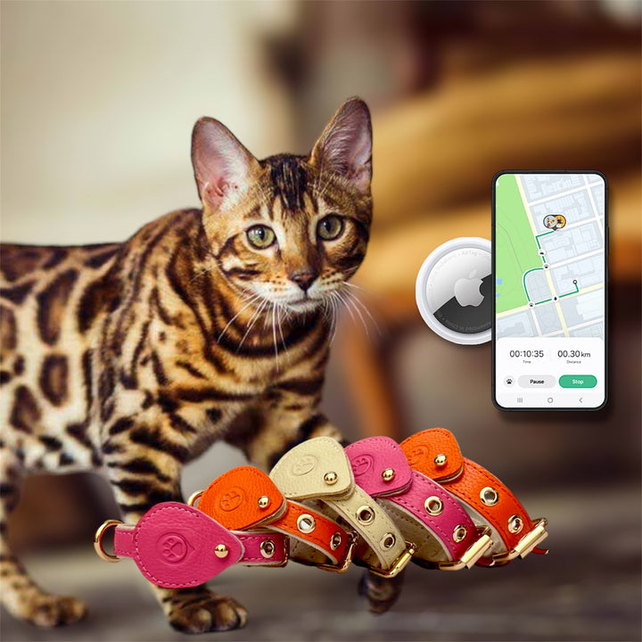 Pack Standard : Collier en cuir WAFFY + AirTag 