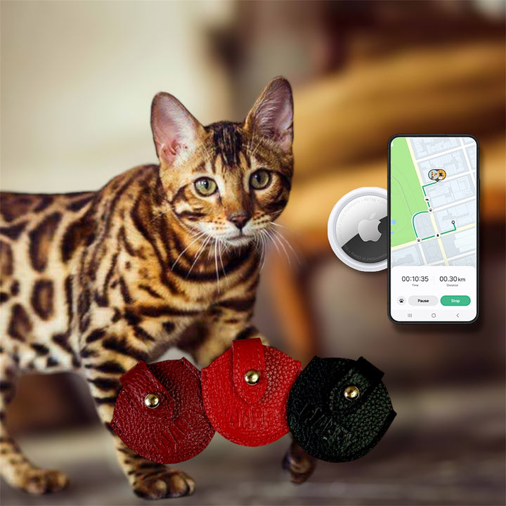 Pack Essentiel : Étui en cuir WAFFY + AirTag 