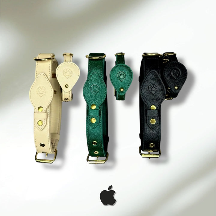 Pack Standard : Collier en cuir WAFFY + AirTag 