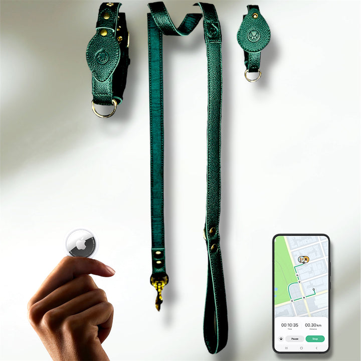 Laisse en cuir WAFFY