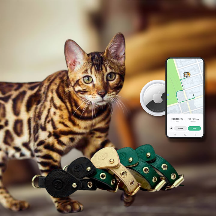 Pack Standard : Collier en cuir WAFFY + AirTag 