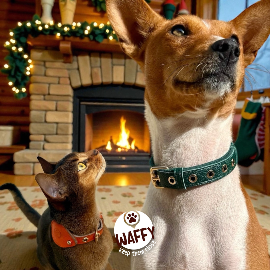 Collier en cuir WAFFY compatible AirTag 