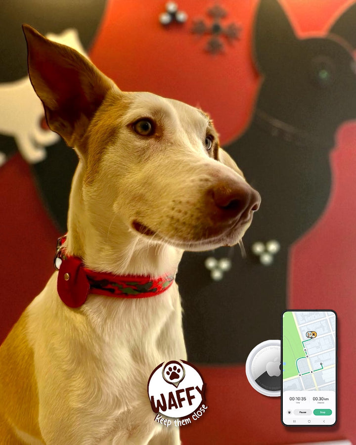 Pack Essentiel : Étui en cuir WAFFY + AirTag 