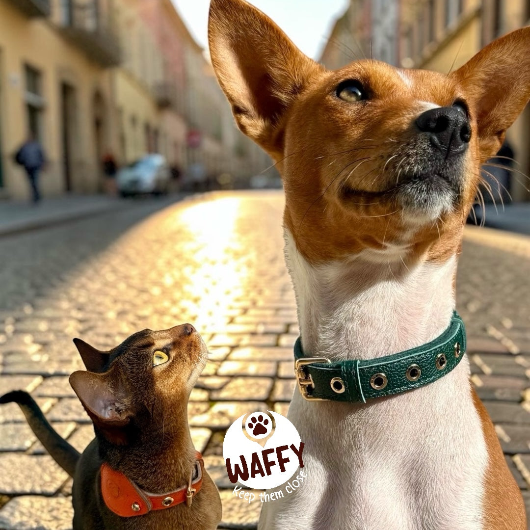 Collier en cuir WAFFY compatible AirTag 