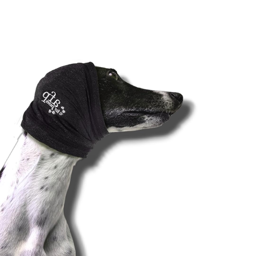 Protège-Oreilles Anti-Stress pour Chien All For Paws — Le cocon qui apaise instantanément