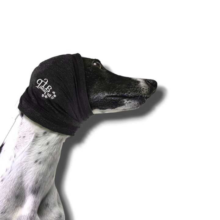 Protège-Oreilles Anti-Stress pour Chien All For Paws — Le cocon qui apaise instantanément