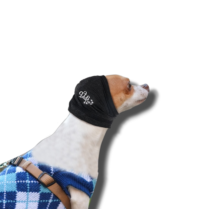 Protège-Oreilles Anti-Stress pour Chien All For Paws — Le cocon qui apaise instantanément