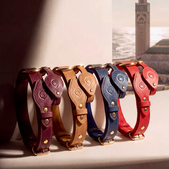 Pack Standard : Collier en cuir WAFFY + AirTag 