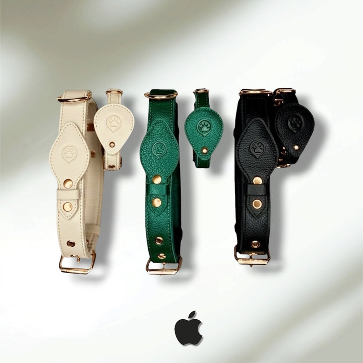 Pack Confort Duo : Collier en cuir WAFFY + Laisse en cuir WAFFY