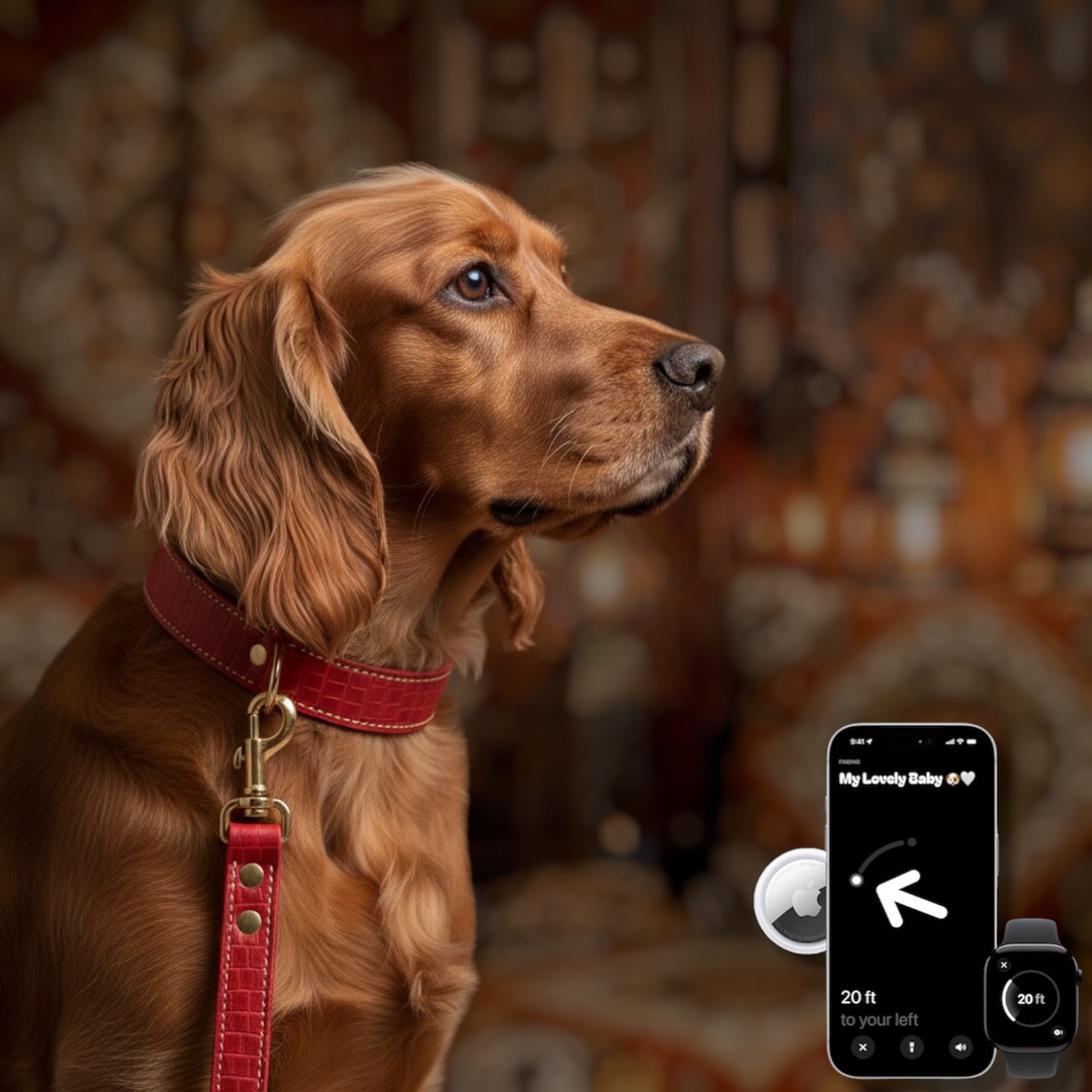 Pack Signature Duo : Collier en cuir WAFFY compatible AirTag  + Laisse assortie WAFFY