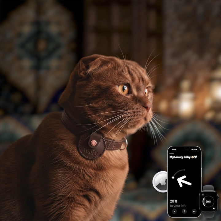 Pack Essentiel : Étui en cuir WAFFY + AirTag 