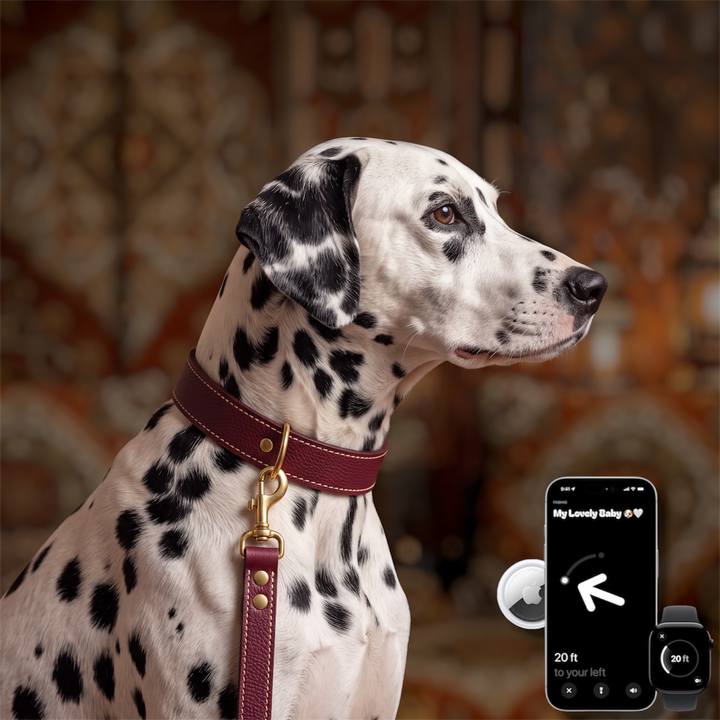Pack Standard : Collier en cuir WAFFY + AirTag 