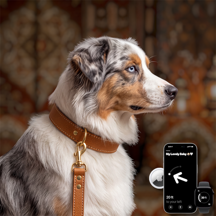 Pack Standard : Collier en cuir WAFFY + AirTag 