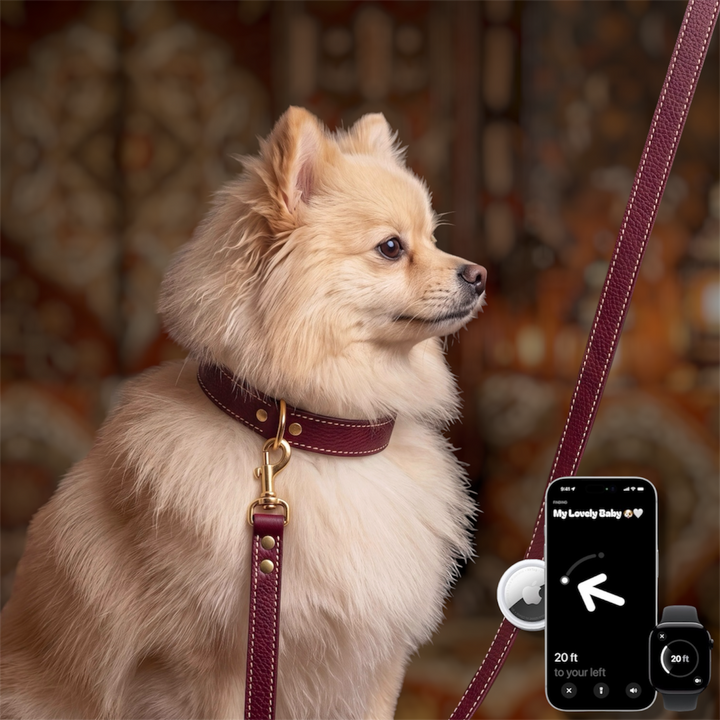 Pack Standard : Collier en cuir WAFFY + AirTag 